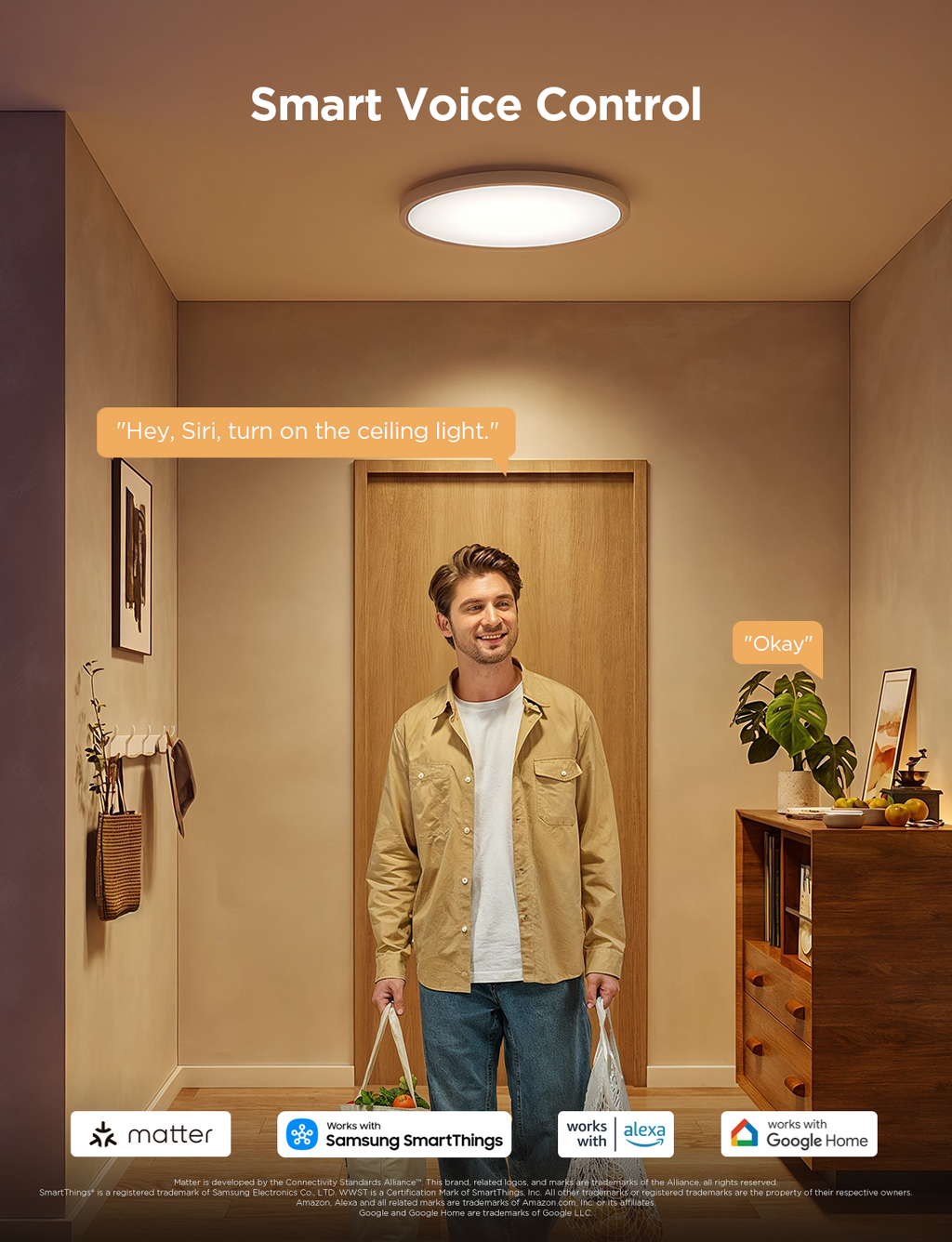 Govee 12-Inch RGBWW + RGBIC Smart Ceiling Light