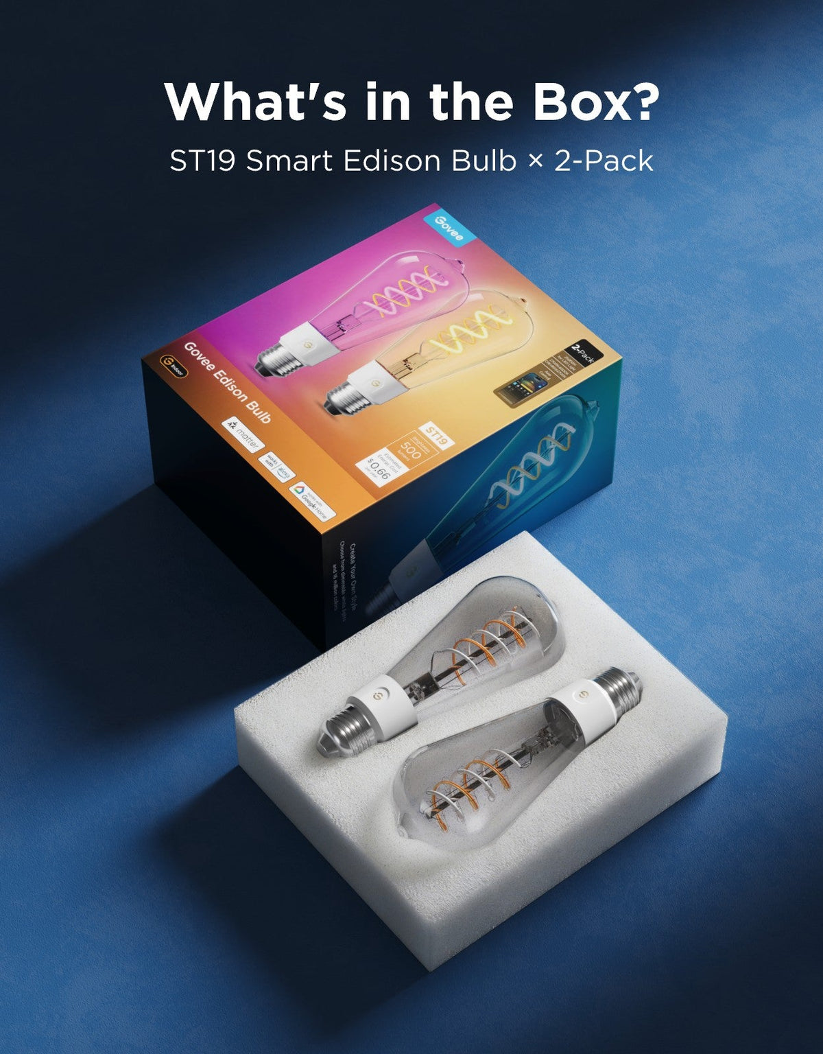 Govee ST19 Smart Edison Light Bulb E26 500lm