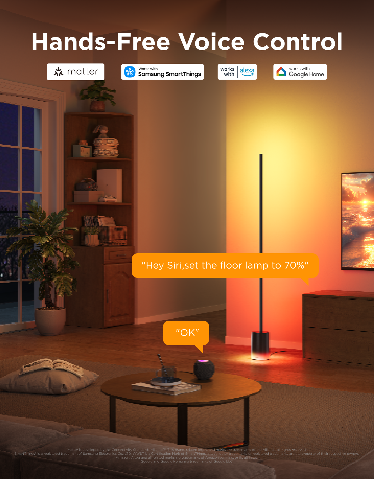 Govee Floor Lamp 2