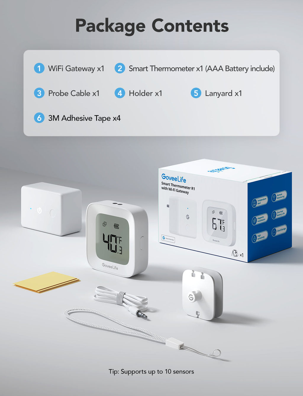 GoveeLife Smart Thermometer R1