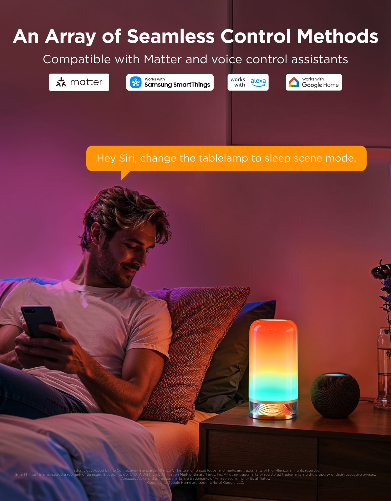 Govee Table Lamp 2