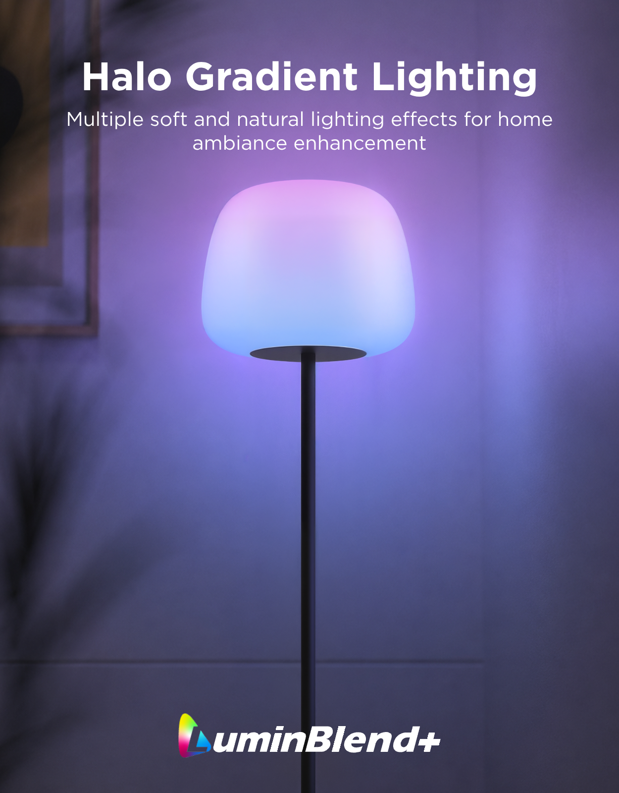 Govee Lantern Floor Lamp