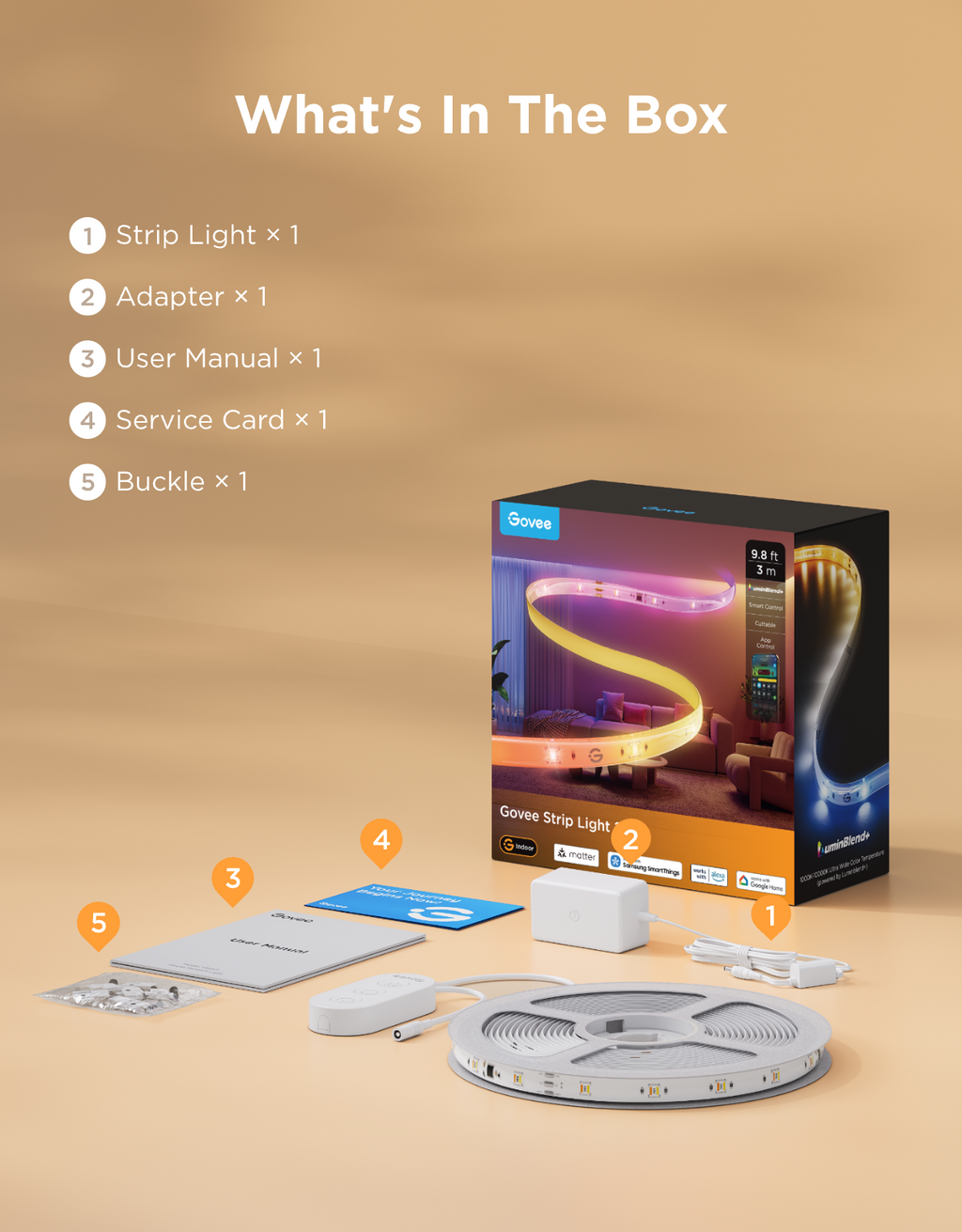 Govee Strip Light 2