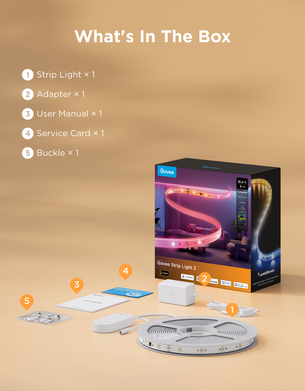Govee Strip Light 2