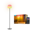 Govee Lantern Floor Lamp